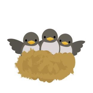 こんなときどうするの?…「つばめの巣作り」 アイキャッチ画像