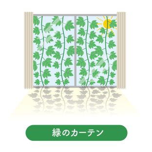 「庭の日差し対策」 アイキャッチ画像