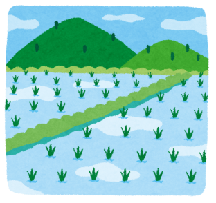 新築前に知っておきたい!田んぼだった土地に家を建てる際の注意点とは アイキャッチ画像